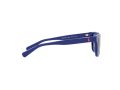 Polo Zonnebril PP 9504U 5235/80