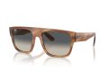 Ray-Ban Drifter Zonnebril RB 0360S 140371