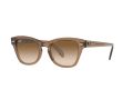 Ray-Ban Zonnebril RB 0707S 6640/51
