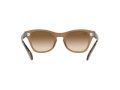 Ray-Ban Zonnebril RB 0707S 6640/51