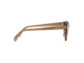Ray-Ban Zonnebril RB 0707S 6640/51