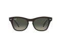 Ray-Ban Zonnebril RB 0707S 6642/71