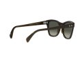 Ray-Ban Zonnebril RB 0707S 6642/71