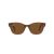 Ray-Ban Zonnebril RB 0880S 6640/57