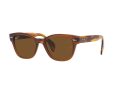 Ray-Ban Zonnebril RB 0880S 6640/57