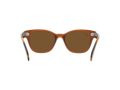 Ray-Ban Zonnebril RB 0880S 6640/57