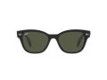 Ray-Ban Zonnebril RB 0880S 901/31