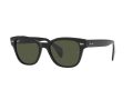 Ray-Ban Zonnebril RB 0880S 901/31