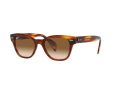 Ray-Ban Zonnebril RB 0880S 954/51