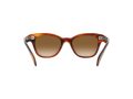 Ray-Ban Zonnebril RB 0880S 954/51