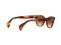 Ray-Ban Zonnebril RB 0880S 954/51