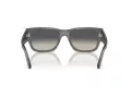 Ray-Ban Carlos Zonnebril RB 0947S 667571