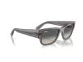 Ray-Ban Carlos Zonnebril RB 0947S 667571