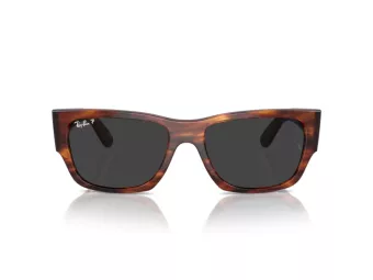 Ray-Ban Carlos Zonnebril RB 0947S 954/48