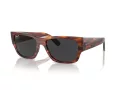 Ray-Ban Carlos Zonnebril RB 0947S 954/48