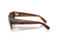 Ray-Ban Carlos Zonnebril RB 0947S 954/48