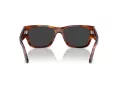 Ray-Ban Carlos Zonnebril RB 0947S 954/48