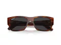 Ray-Ban Carlos Zonnebril RB 0947S 954/48