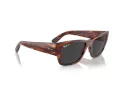 Ray-Ban Carlos Zonnebril RB 0947S 954/48