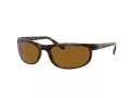 Ray-Ban Predator 2 Zonnebril RB 2027 6508/33