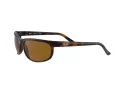 Ray-Ban Predator 2 Zonnebril RB 2027 6508/33
