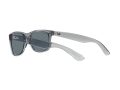 Ray-Ban New Wayfarer Zonnebril RB 2132 6450/3R