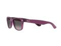 Ray-Ban New Wayfarer Zonnebril RB 2132 6606/M3