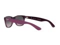 Ray-Ban New Wayfarer Zonnebril RB 2132 6606/M3