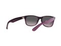 Ray-Ban New Wayfarer Zonnebril RB 2132 6606/M3