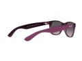 Ray-Ban New Wayfarer Zonnebril RB 2132 6606/M3