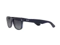 Ray-Ban New Wayfarer Zonnebril RB 2132 6607/78
