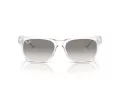 Ray-Ban New Wayfarer Zonnebril RB 2132 677432