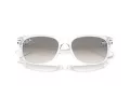 Ray-Ban New Wayfarer Zonnebril RB 2132 677432