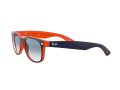 Ray-Ban New Wayfarer Zonnebril RB 2132 789/3F