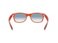 Ray-Ban New Wayfarer Zonnebril RB 2132 789/3F