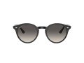 Ray-Ban Zonnebril RB 0RB2180 601/11