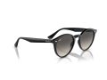 Ray-Ban Zonnebril RB 0RB2180 601/11