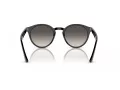 Ray-Ban Zonnebril RB 2180 601/11