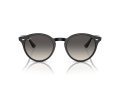 Ray-Ban Zonnebril RB 0RB2180 601/11