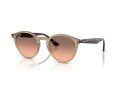Ray-Ban Zonnebril RB 2180 678846