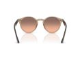 Ray-Ban Zonnebril RB 2180 678846