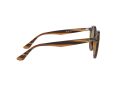Ray-Ban Zonnebril RB 2180 820/73