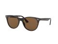 Ray-Ban Wayfarer Ii Zonnebril RB 2185 902/57