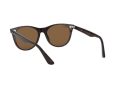 Ray-Ban Wayfarer Ii Zonnebril RB 2185 902/57