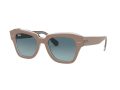 Ray-Ban State Street Zonnebril RB 2186 1297/3M