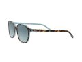 Ray-Ban Leonard Zonnebril RB 2193 1316/3M