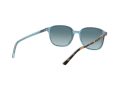 Ray-Ban Leonard Zonnebril RB 2193 1316/3M