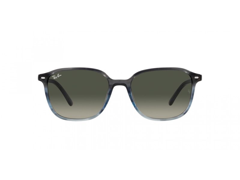Ray-Ban Leonard Zonnebril RB 2193 138171