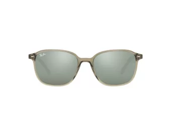 Ray-Ban Leonard Zonnebril RB 2193 6635/5C