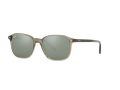 Ray-Ban Leonard Zonnebril RB 2193 6635/5C